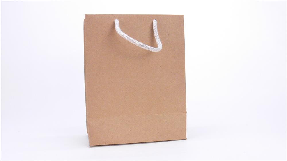 5er-Pack Kraftpapier-Geschenktüten mit Kordel, 225 g/m², Maße 19 x 15 x 8 cm. Perfekt für Geburtstagsgeschenke, Hochzeiten, Jubiläen oder kleine Mitbringsel.