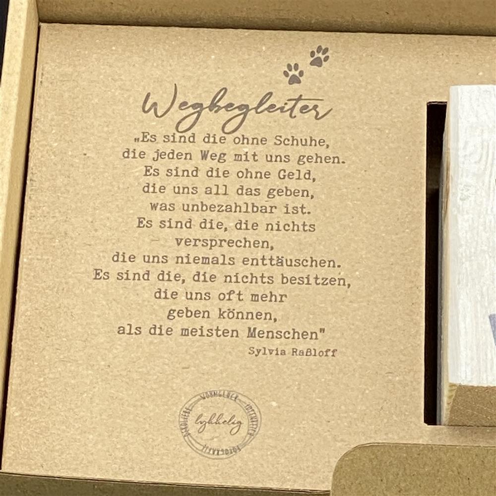 LykkeLight Wegbegleiter