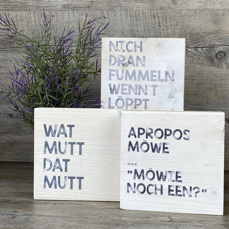 Moin Kollektion