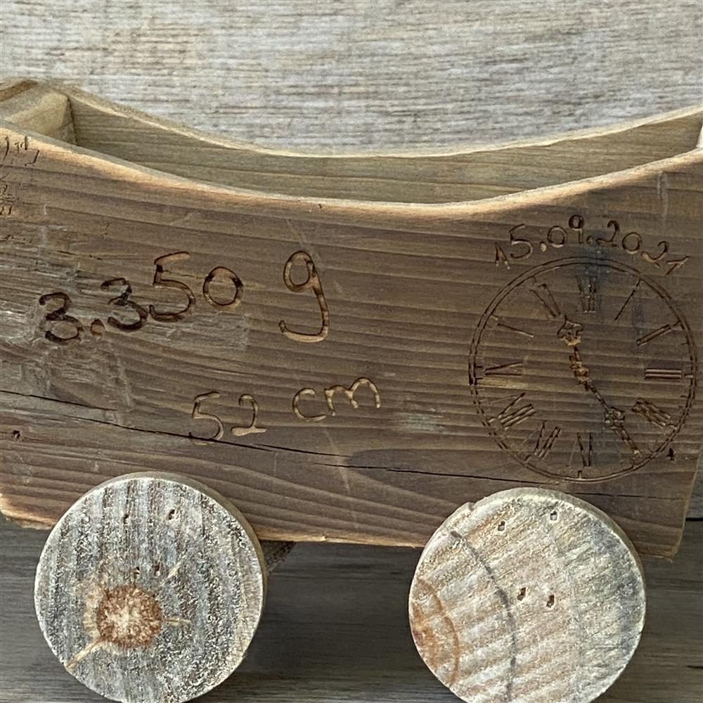 Holzzug Geburt, personalisiert